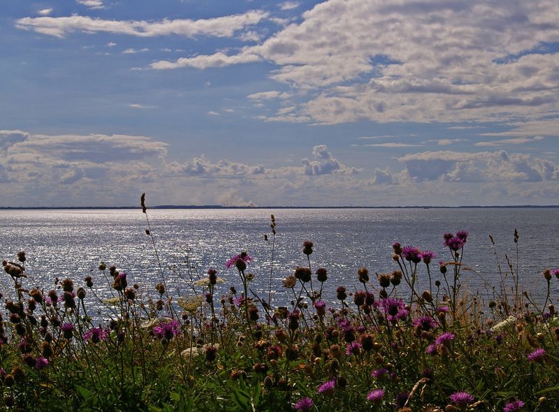 Fietsvakantie Zuid-Funen, Tåsinge, Thurø en Langeland
